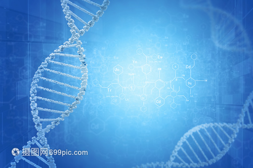 DNA分子高科技DNA分子的生物化學(xué)背景