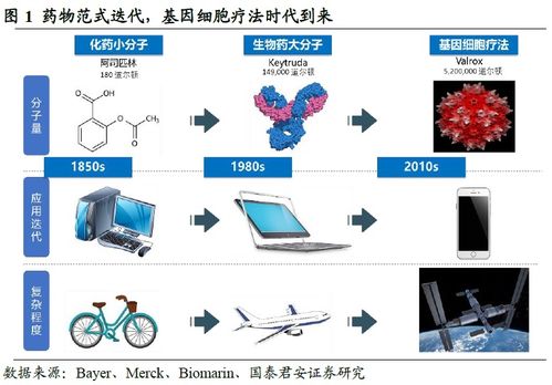金斯瑞生物科技 賦能邏輯逐步兌現,細胞療法進展順利
