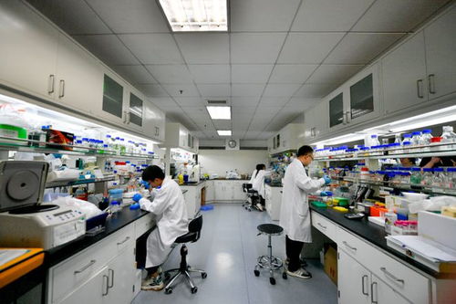 科技 二氧化碳再變身 中國科學家實現重大突破